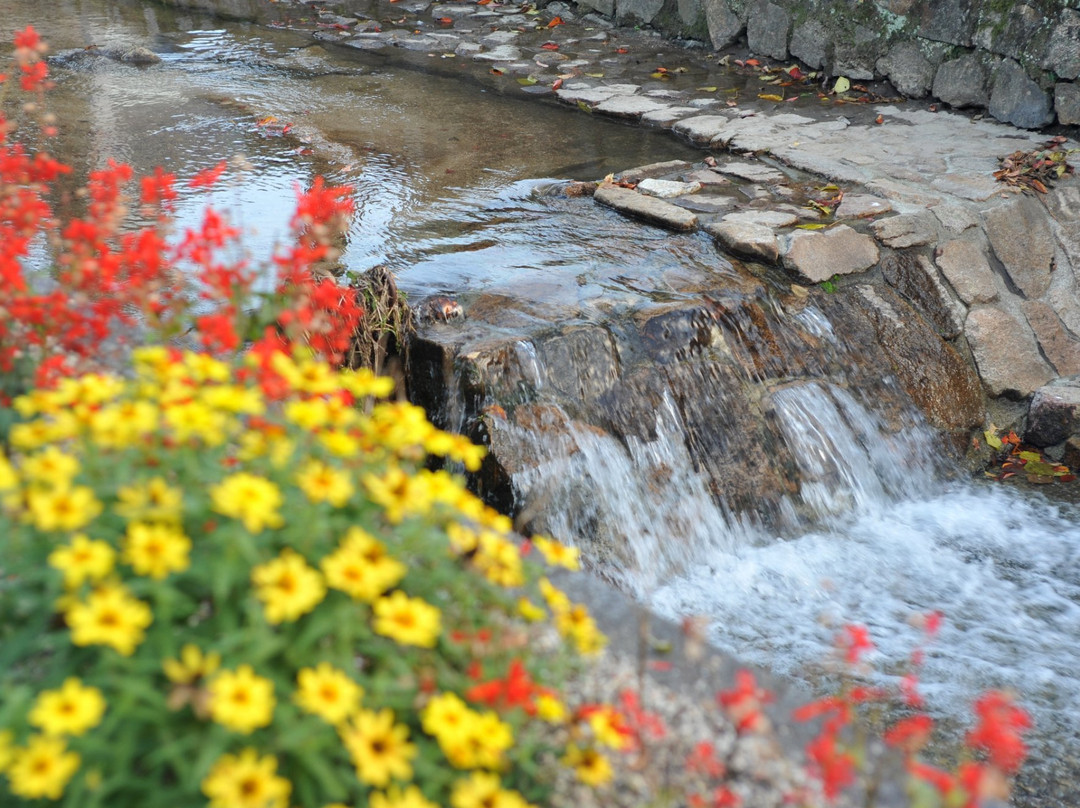 The Nice View of Konya River