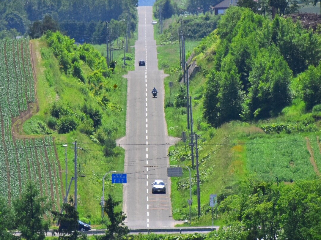 Roller Coaster Road景点图片