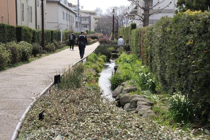 Karasuyamagawa Green Road景点图片