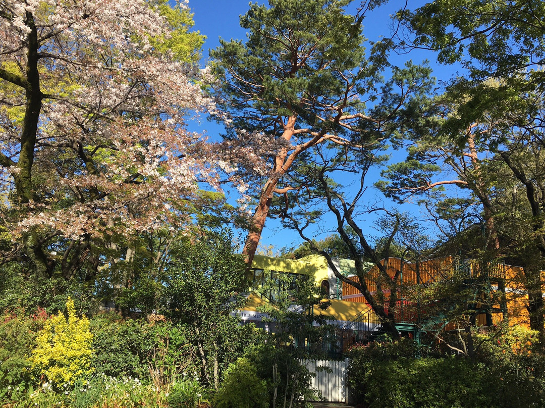Kazenosanpomichi