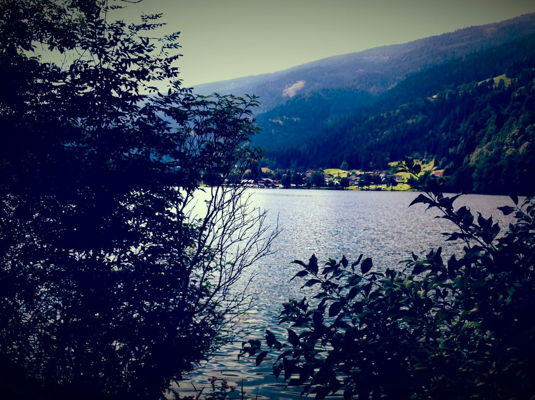 Feffernitz餐馆和美食-Aparthotel Seebrauer Am Afritzer See