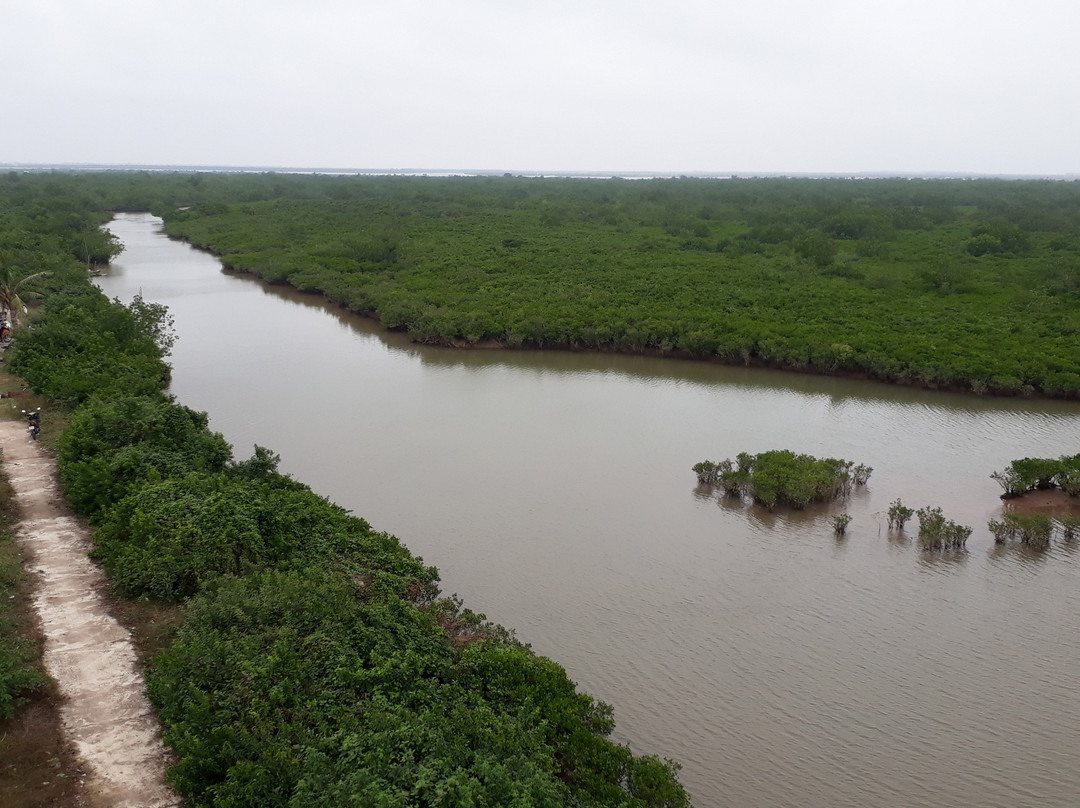 Xuan Thuy National Park-Thai Binh必去景点