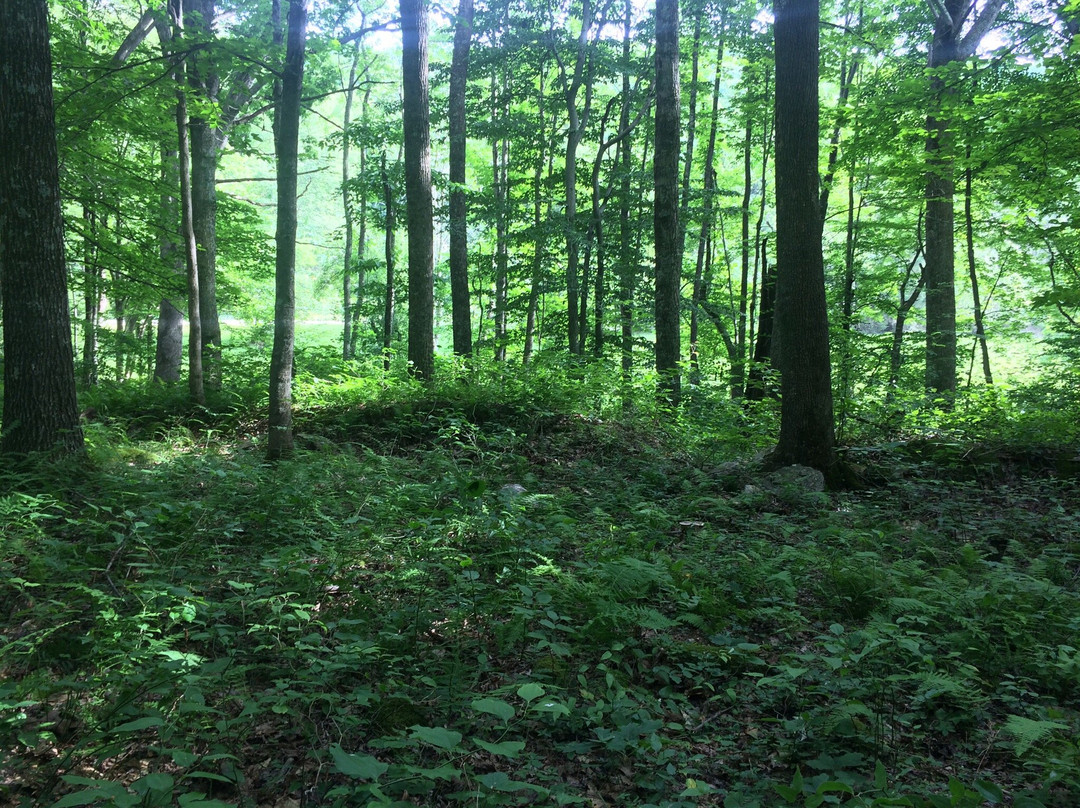 Rich mountain Battlefield Civil War Site景点图片