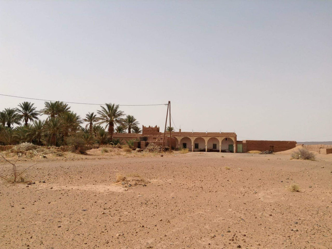 The Zaid Garden