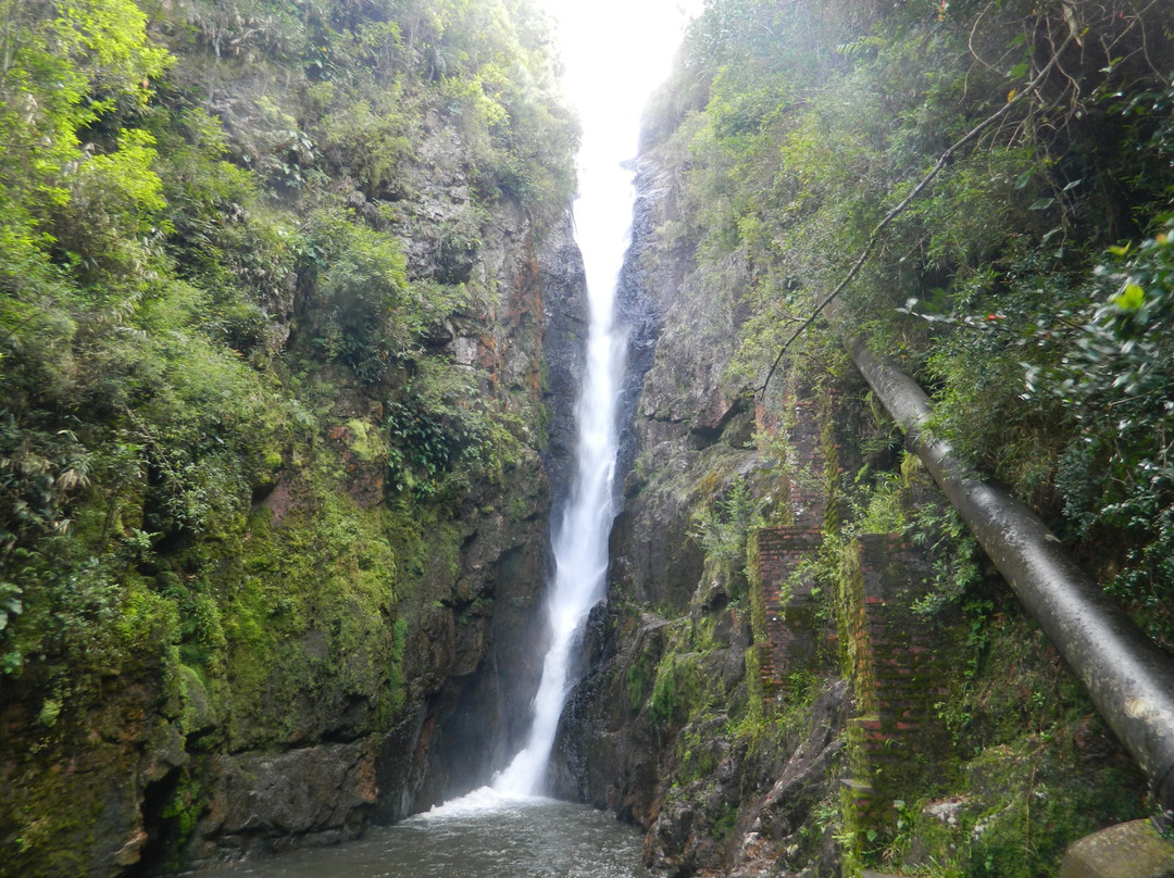 Campo Alegre旅游攻略图片