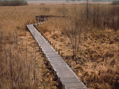 Kampinos旅游攻略图片