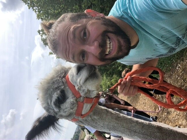 Lower Bush Alpacas景点图片