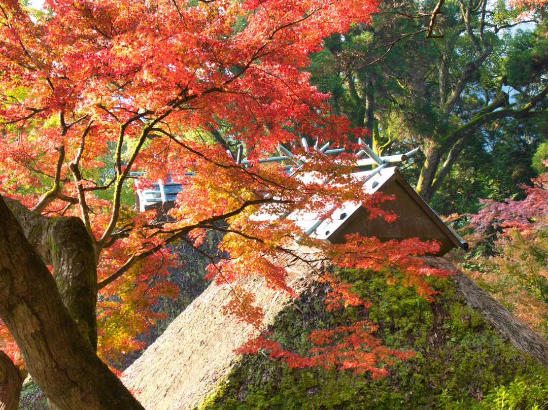 Daikozenji Temple景点图片