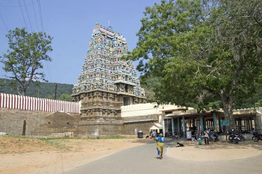 Kalamegaperumal Temple景点图片