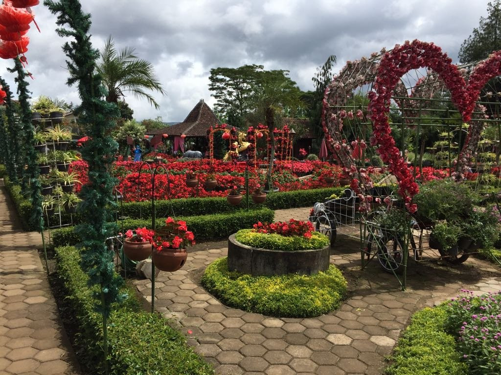 Begonia Garden景点图片