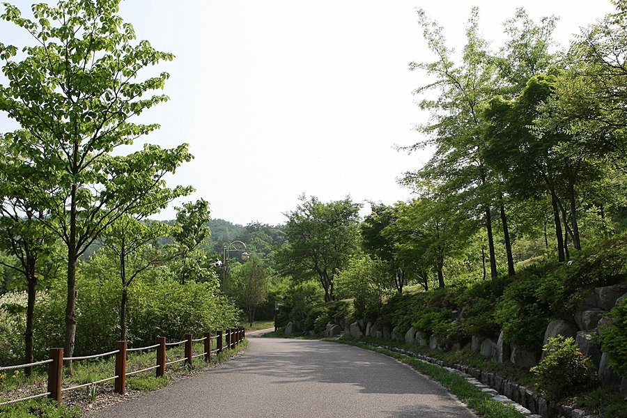 Hwanghaksan Arboretum-骊州郡必去景点