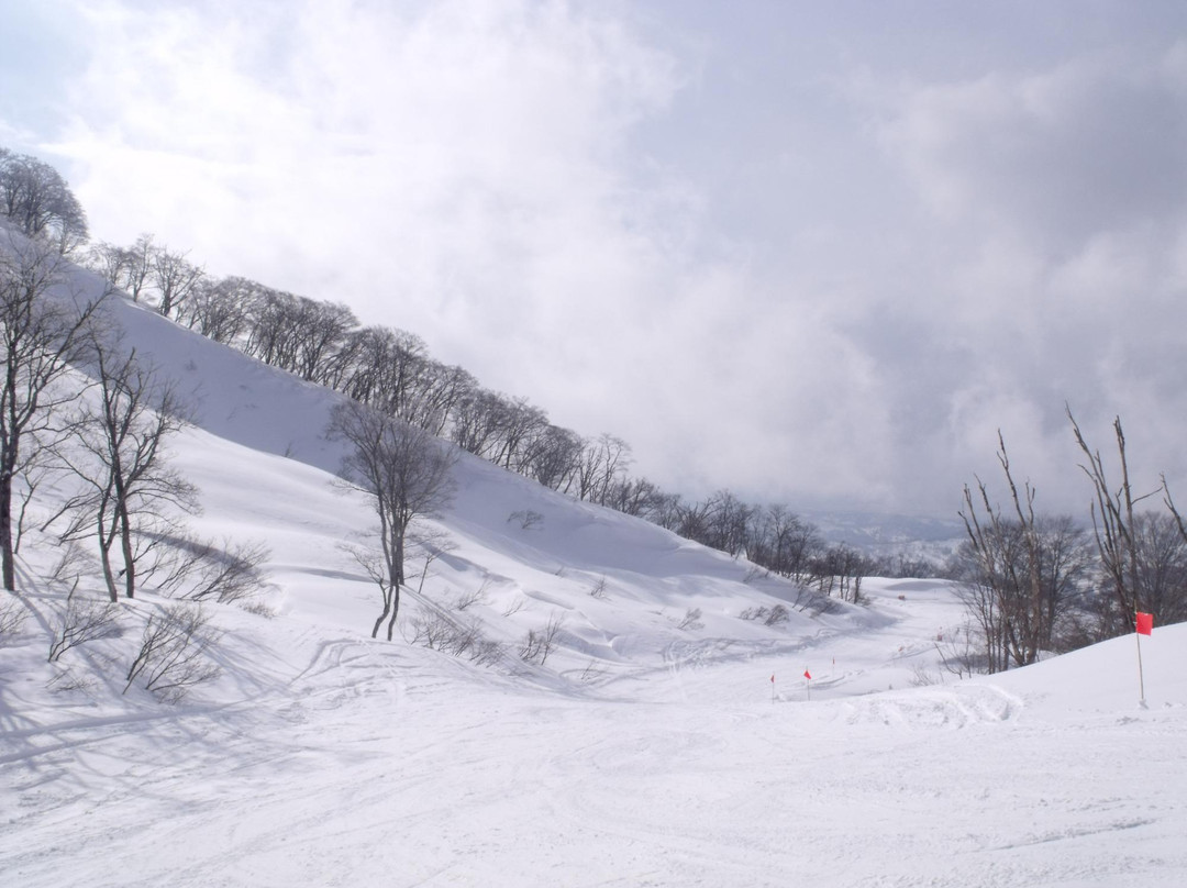 Cupid Valley Ski Resort景点图片