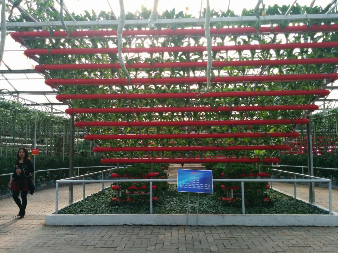 寿光市旅游景点-寿光蔬菜示范园