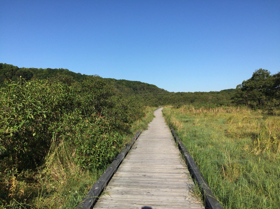 Onnenai Boardwalk景点图片