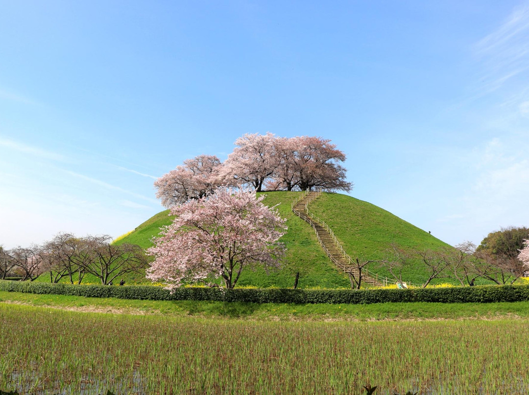 Sakitama Kofun Park