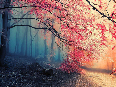 Prime India Travel-新德里必去景点