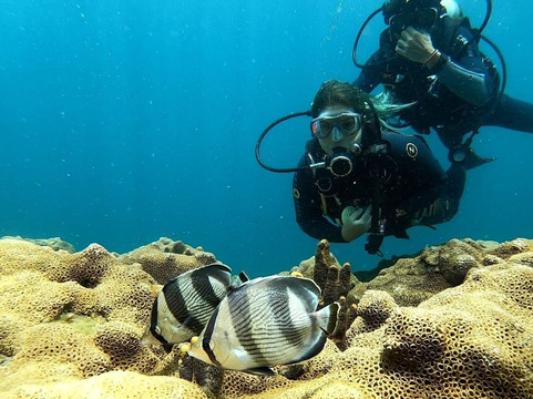 Sheila Tur & Eventos Mergulho