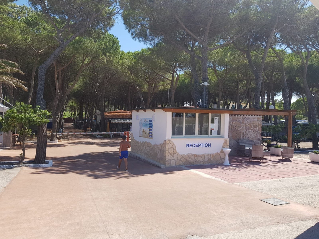 Camping Serenella