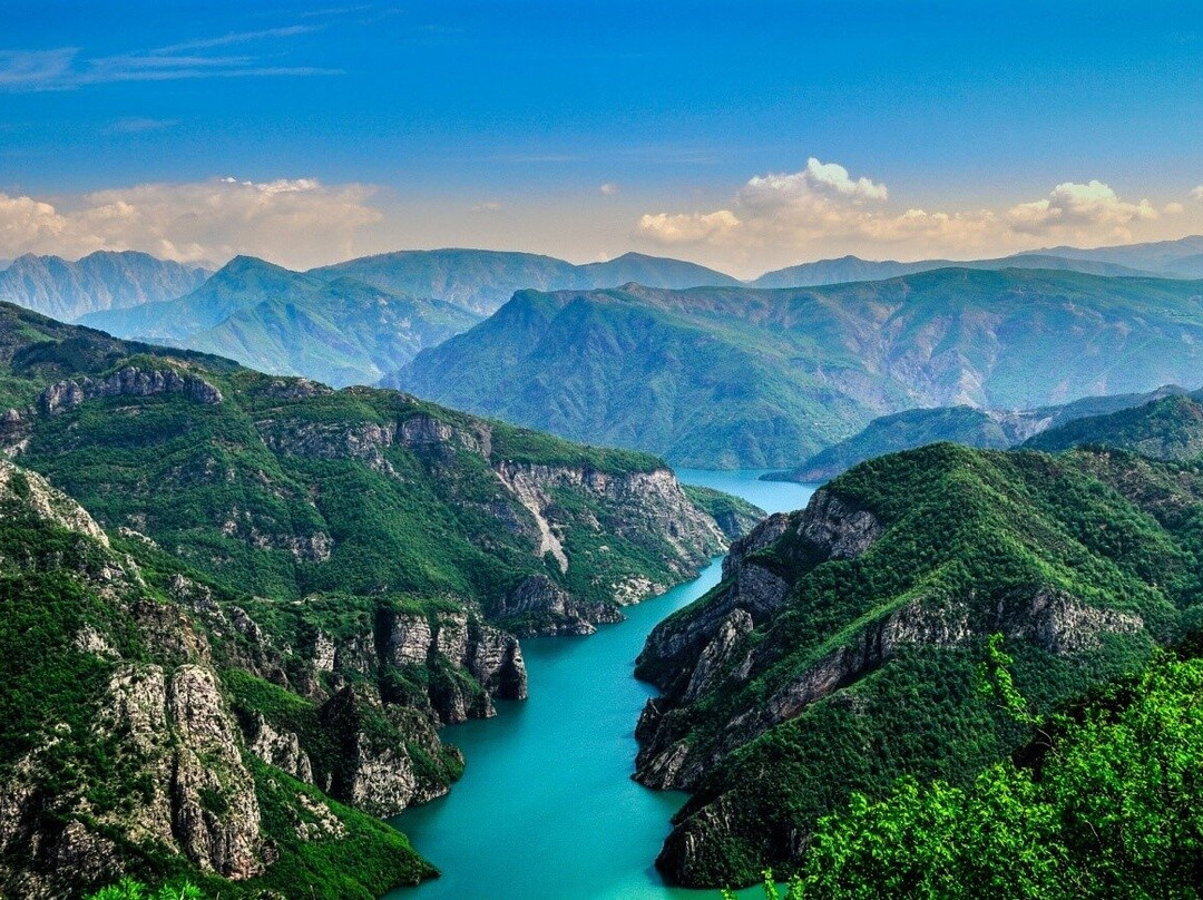 ALOVO TOURISM