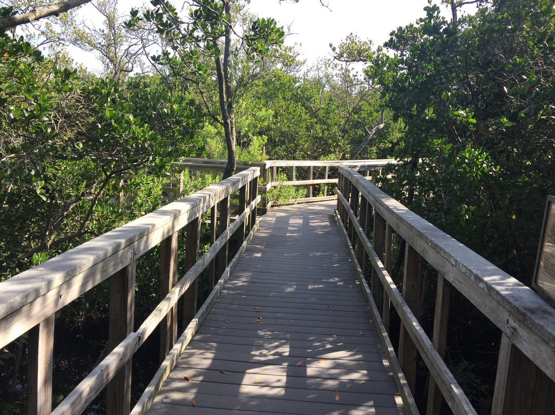 Indian Rocks Beach Nature Preserve景点图片