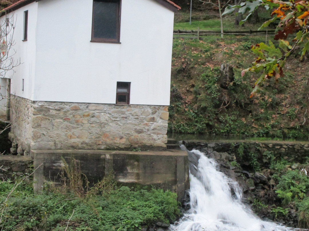 Parque Tematico Molinologico景点图片