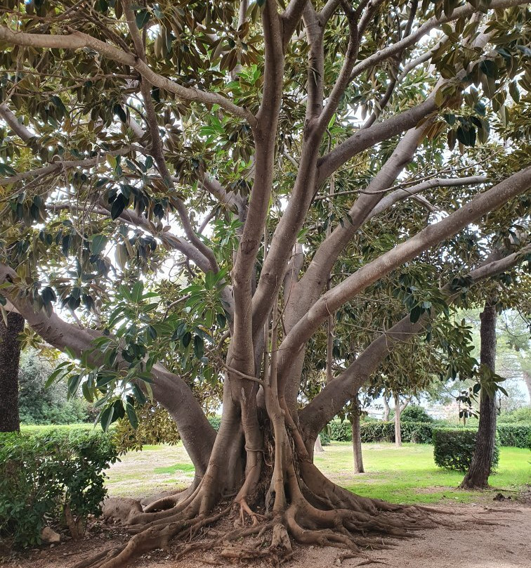Villa Eilenroc-安提贝必去景点