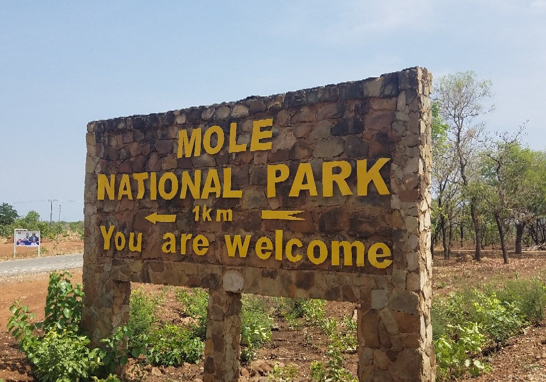 Mole National Park-Wa必去景点