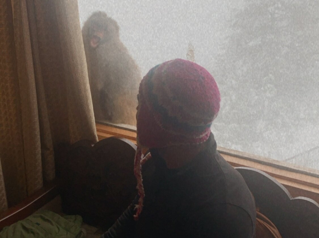 Shaw Resort 11主图