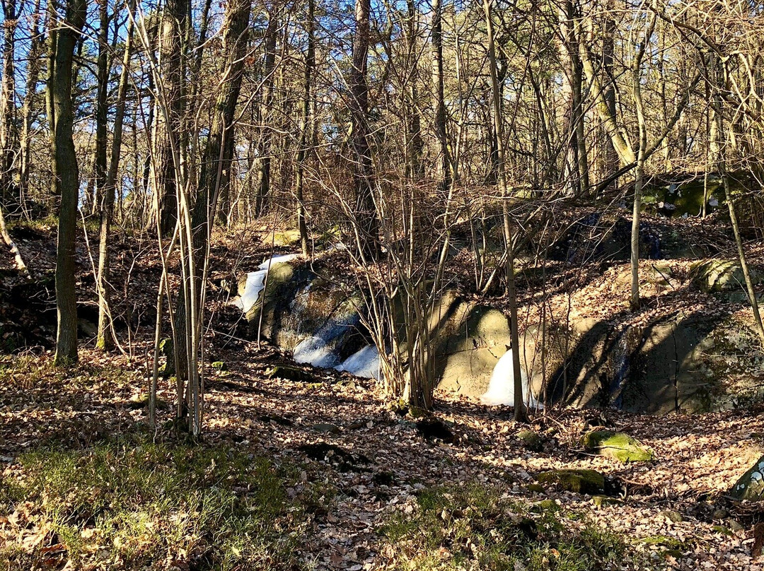 Hisingsparken-哥德堡必去景点