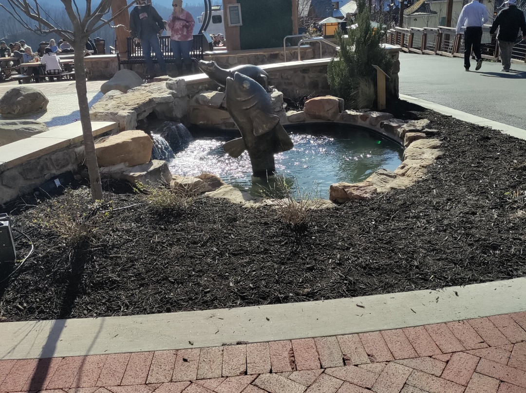 Anakeesta-盖林柏格必去景点