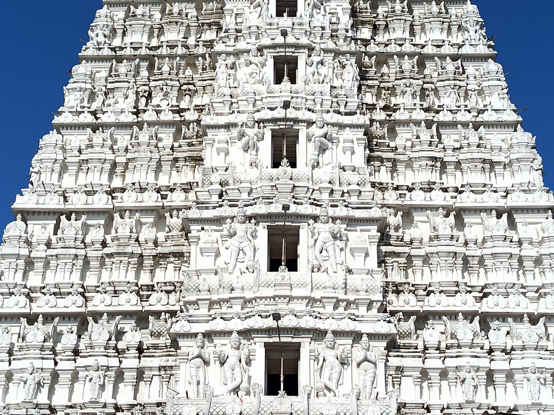 Sri Govindarajaswami Temple景点图片
