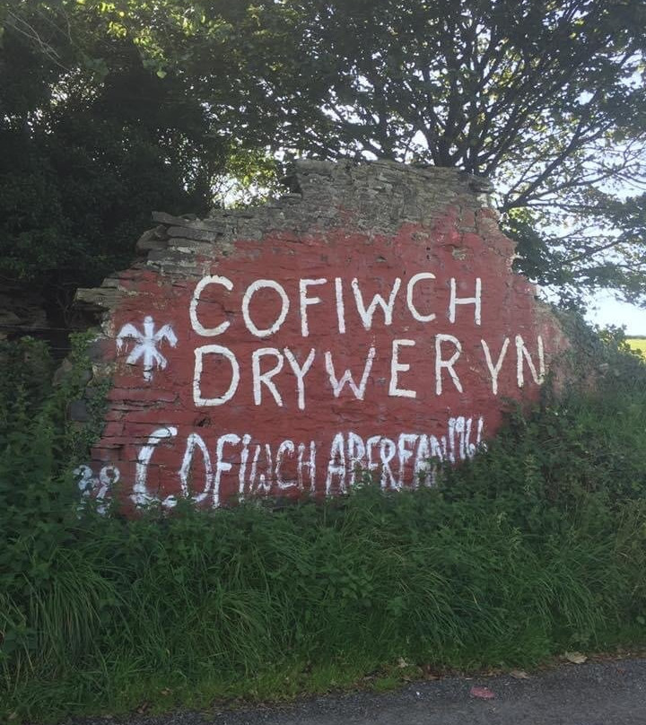 Cofiwch Dryweryn Wall景点图片
