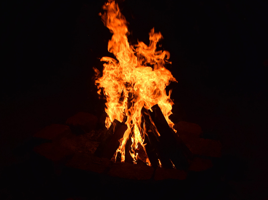 Gooseberry Retreats主图