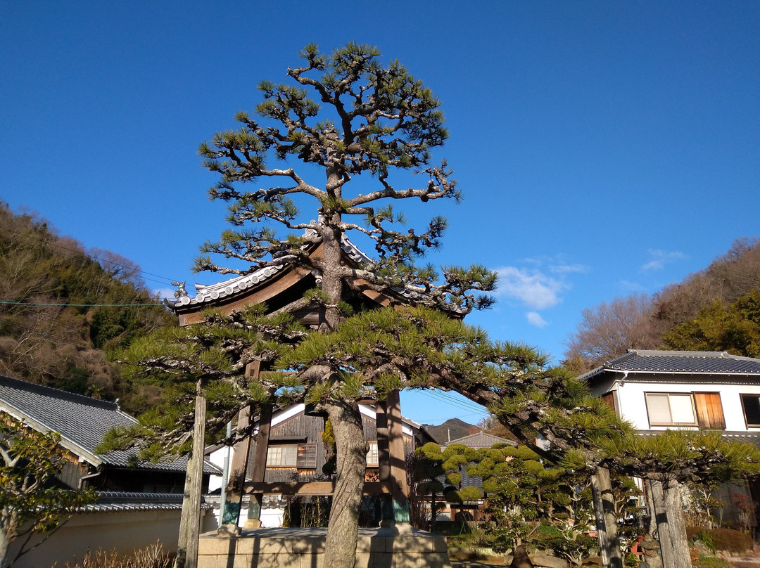 Myodoji Temple-赤穗市必去景点