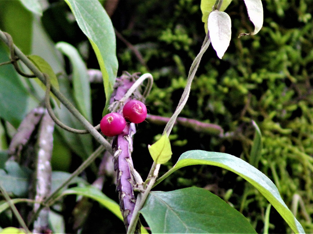 Pousada Salto Sete主图