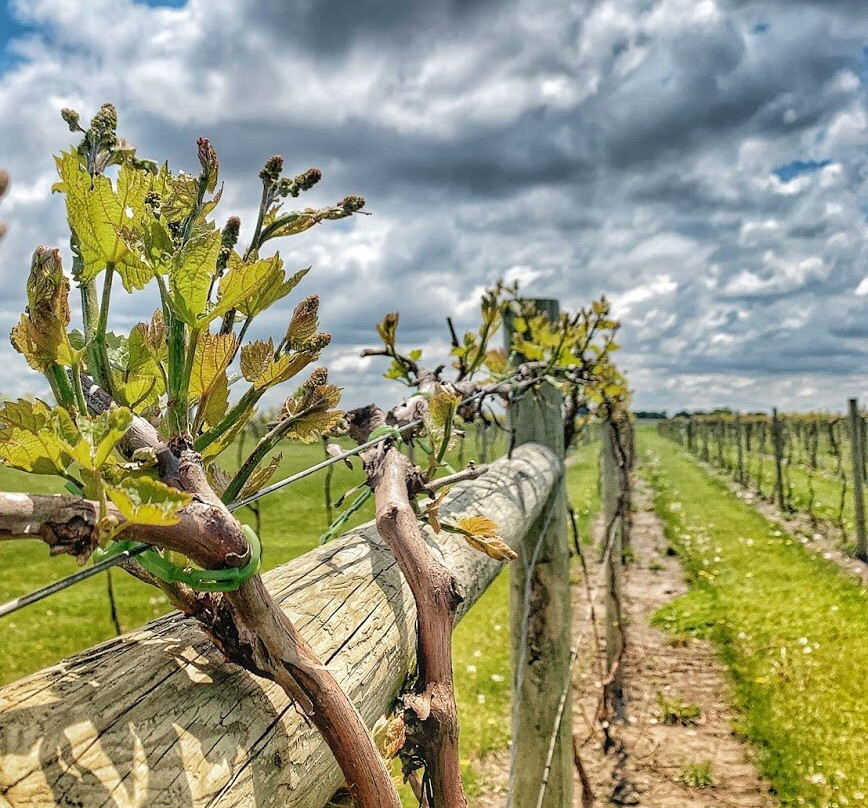Soldier Creek Winery-Fort Dodge必去景点