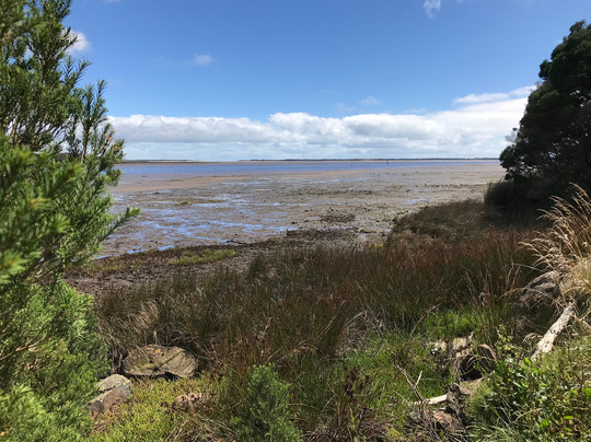 Duck River Foreshore Path-Smithton必去景点
