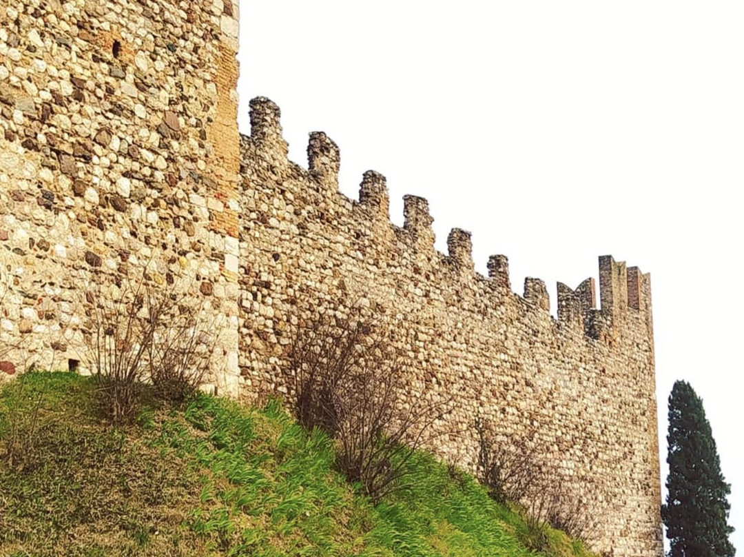 Castello di Padenghe景点图片