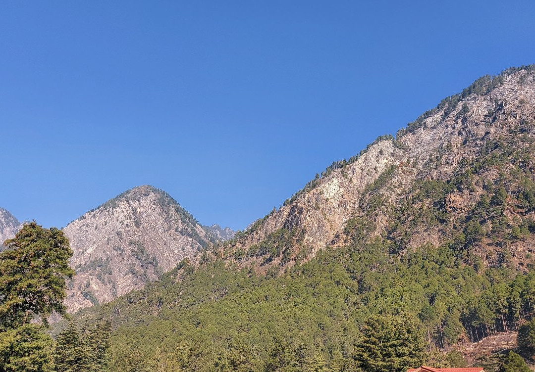 Hotel Hukam's Holiday Home主图