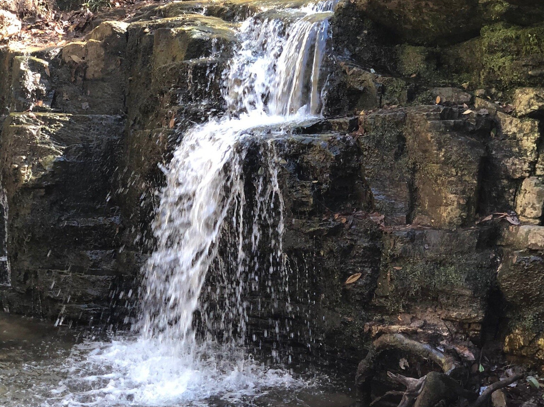 Pine Mountain Trail-Pine Mountain必去景点