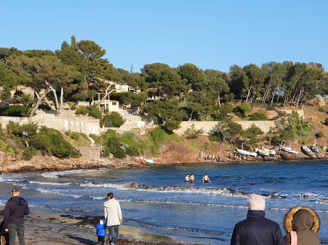 Plage de Fabregas-滨海拉塞纳必去景点