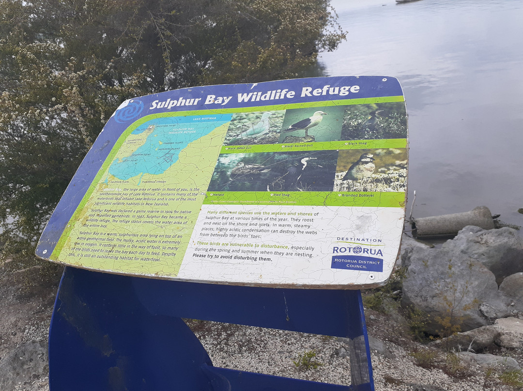 Sulphur Point-罗托鲁瓦必去景点