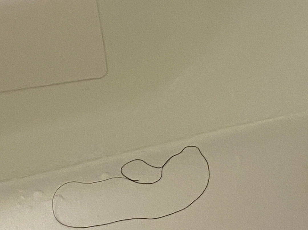 芒特普莱森特贝斯特韦斯特酒店主图