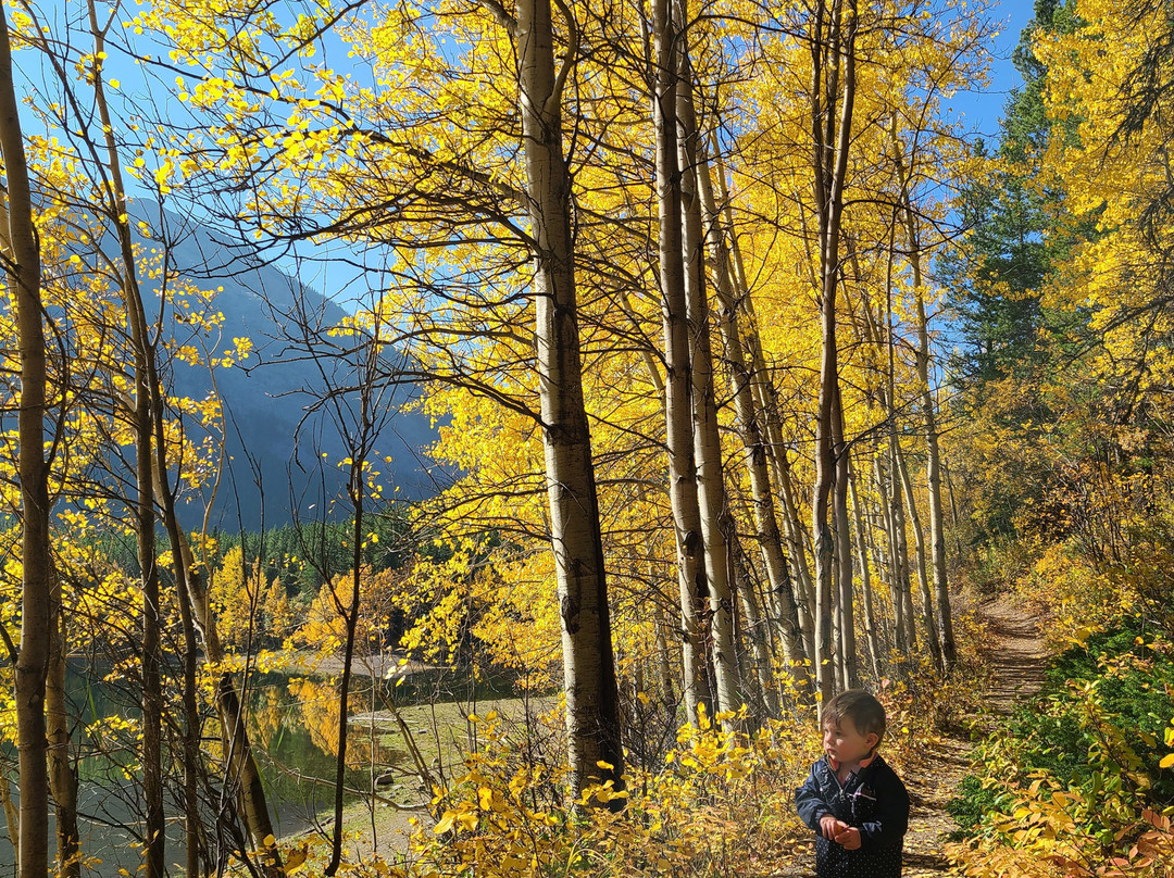 Wedge Pond-卡那那斯基斯必去景点
