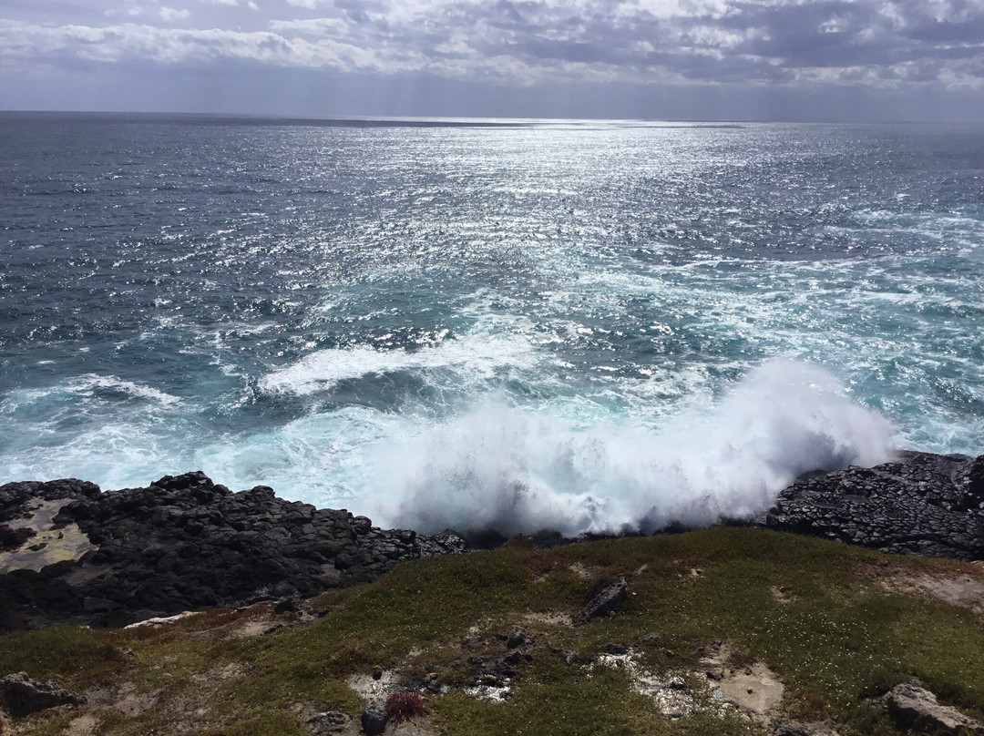 Petrified Forest and Blowholes-Cape Bridgewater必去景点