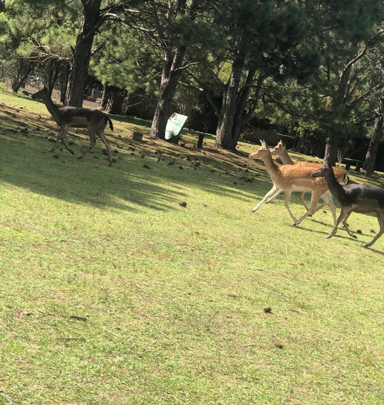 Zoo de Batan-Batan必去景点