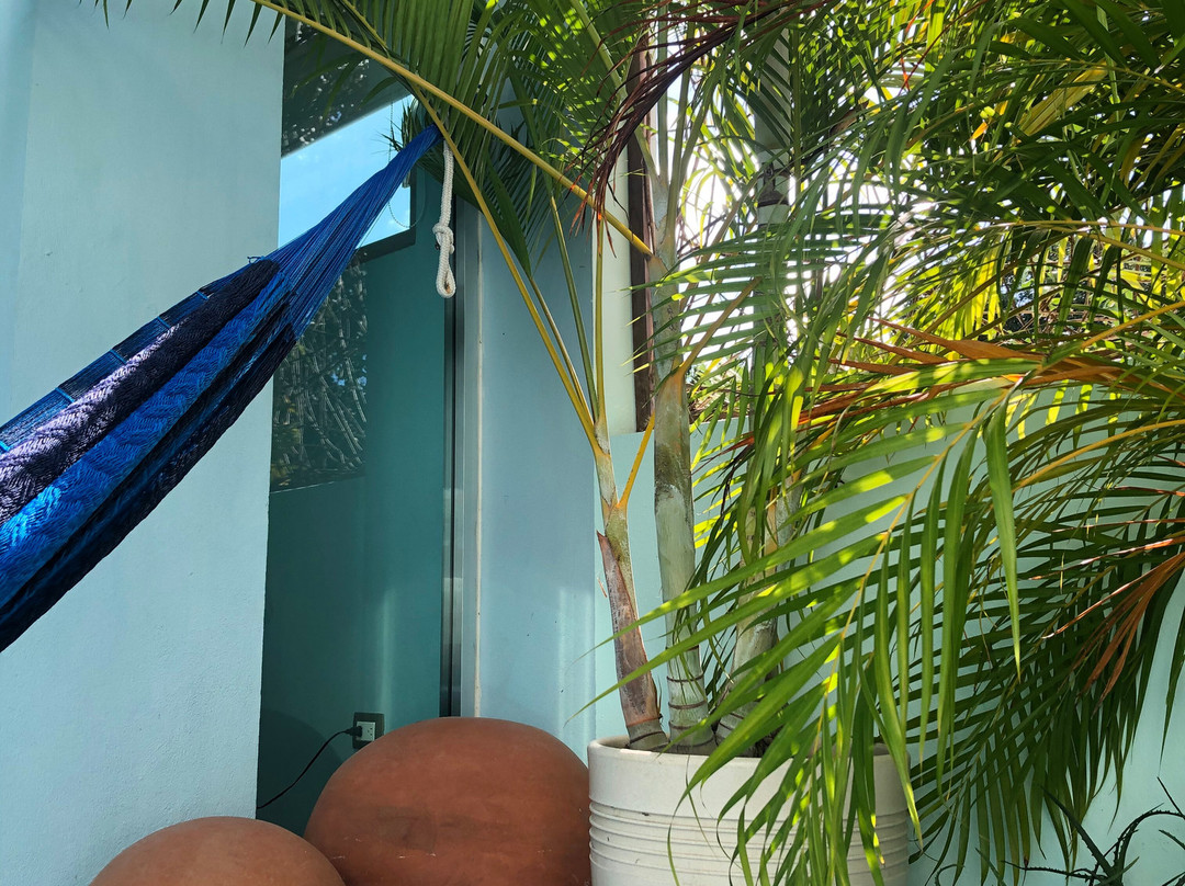 Tribal Tulum-图伦必去景点