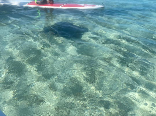 Turks Aqua Adventures-格雷斯湾必去景点