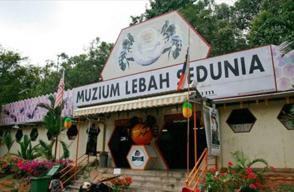 Bees Museum-爱极乐必去景点