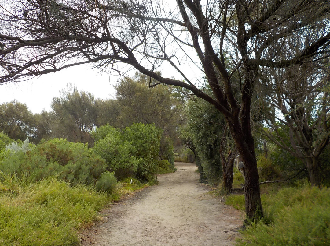 Coastal Trails-贝赛德必去景点